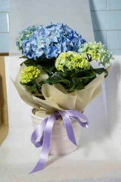 Flowersforisolated Foto stock