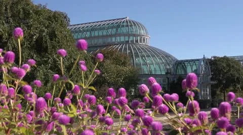 Flowers&amp;GreenHouse Stock Footage 10759857