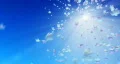 FlowerTwister HD Footage