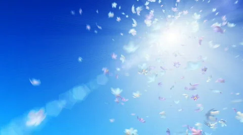 FlowerTwister Stock Footage 323627