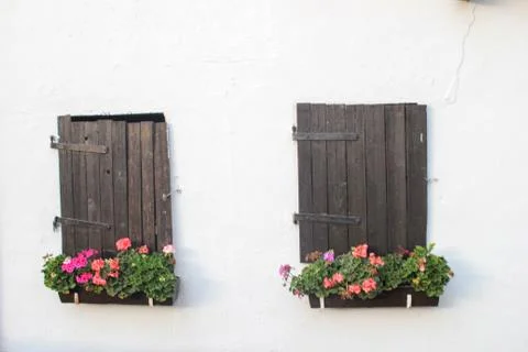 FlowerWindows Stock Photos