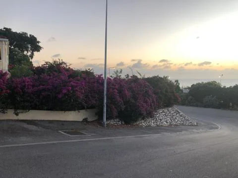 Flowery corner 库存照片
