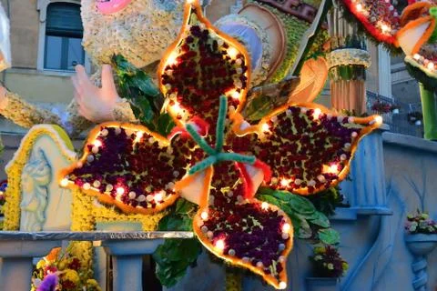 Flowery float Фото