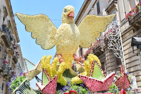 Flowery float Photos