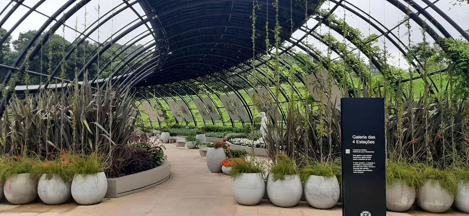 Flowery path 库存照片