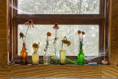 Flowes in Vases on Shelf Stock Photos