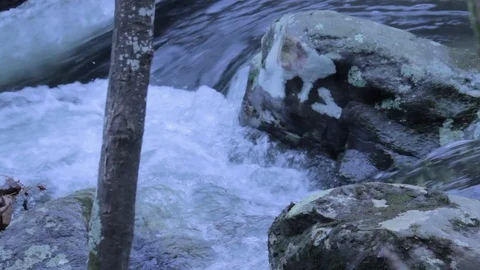 Flowig Mountain Stream Stock Footage 100989814