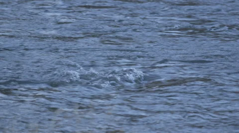 Flowimg River Stock Footage 27494391