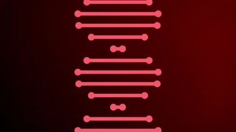Flowing 2D shaped lines representing a rotating DNA strand molecule animation Stock Footage 342120600