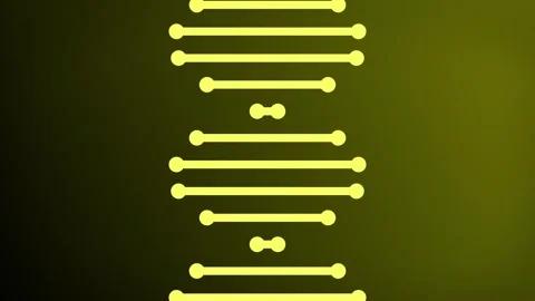 Flowing 2D shaped lines representing a rotating DNA strand molecule animation Stock Footage 342120666