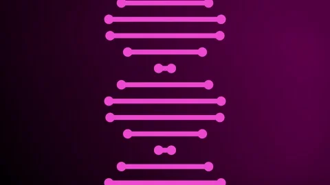 Flowing 2D shaped lines representing a rotating DNA strand molecule animation Stock Footage 342122533