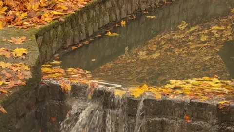 Flowing Autumn Waterfall, Concept of Productivity and Momentum Vídeos de archivo 341865192