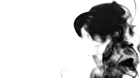 Flowing Black Ink On White Background Stock Footage 48527879