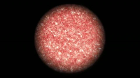 Flowing Blood Cells in Microscope - focus resolve Stock Footage 12218856