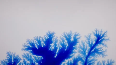 Flowing blue ink creating complex organic patterns and gradients 库存影片 333855363