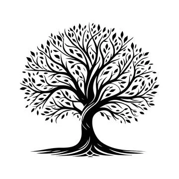 Flowing Branches Black Tree of Life – Spiritual Symbol Stock Illustration
