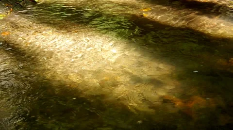 Flowing brook Stock Footage 31905720