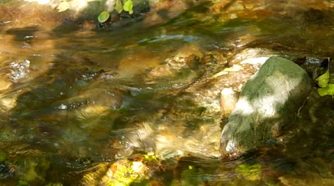 - Flowing brook Stock Footage 31905723