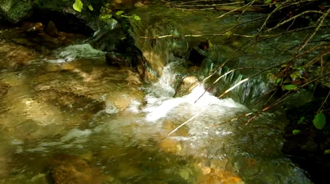 Flowing brook Stock Footage 31906369