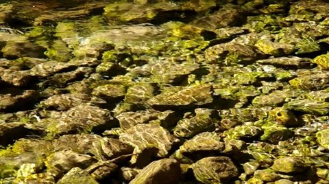 Flowing brook Stock-Footage 32502967