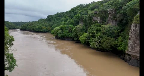 Flowing Brown River Along Lush Green Cliffs in Guaviare Stock-Footage 336563831