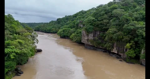 Flowing Brown River Along Lush Green Cliffs in Guaviare Stock-Footage 336563856