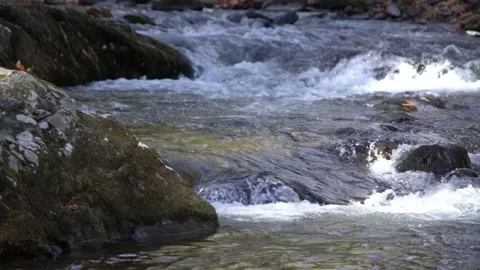 Flowing Cascading Mountain Stream in Slow Motion Video stock 168034486