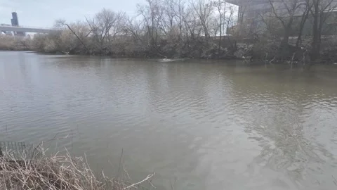 Flowing Chicago River Stock Footage 335942389