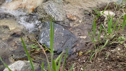Flowing clear water from the recent rain in Whitney canyon trail park Stock Footage 107205367