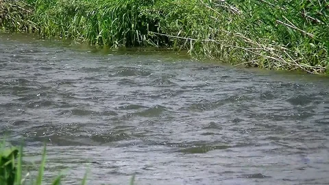 Flowing clear water through the wide country Stock Footage 100435071