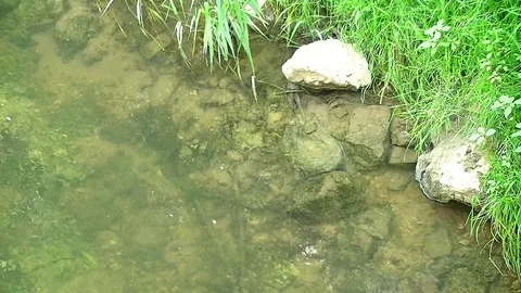 Flowing clear water through the wide country Stock Footage 100435227