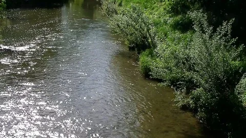 Flowing clear water through the wide country 库存影片 100435257