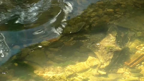 Flowing clear water through the wide country Stock Footage 100435477