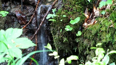 Flowing clear water through the wide country Stockbeeldmateriaal 100437415