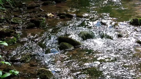 Flowing clear water through the wide country Stock Footage 100437418
