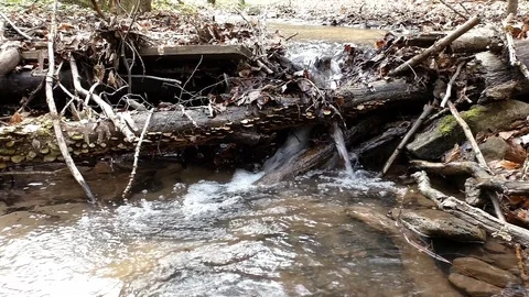 Flowing clear water through the wide country Stock-Footage 100438070
