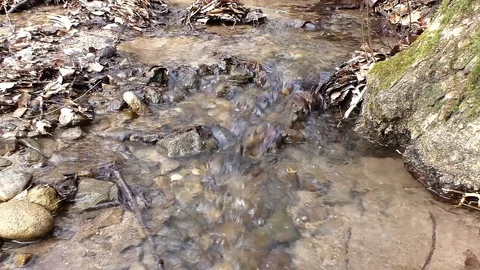 Flowing clear water through the wide country Stock Footage 100438132