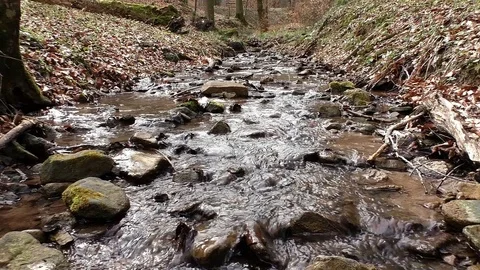 Flowing clear water through the wide country Stock-Footage 100438141