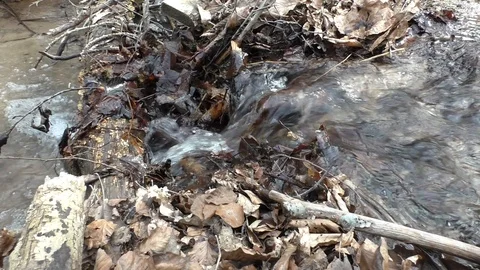 Flowing clear water through the wide country Stock-Footage 100438265