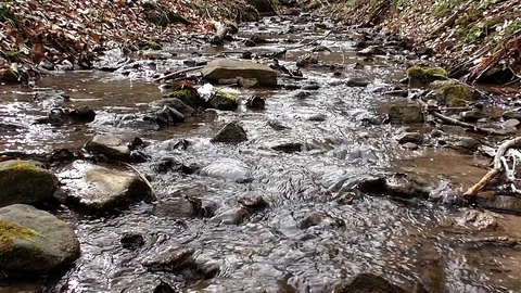 Flowing clear water through the wide country Stock-Footage 100438809