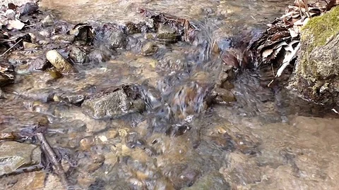 Flowing clear water through the wide country Stock-Footage 100438837