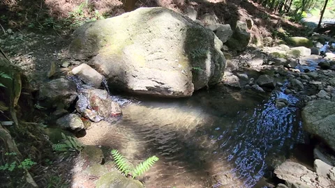 Flowing clear water in the valley Stock Footage 188434014