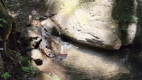 Flowing clear water in the valley Stock Footage 188444830