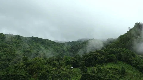 Flowing Cloud on the Mountain Forest 01 Stock Footage 76073610