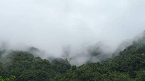 Flowing Cloud on the Mountain Forest 02 Stock Footage 76072339