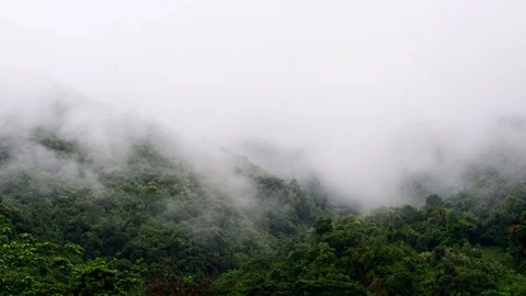 Flowing Cloud on the Mountain Forest 03 Stock Footage 76070506