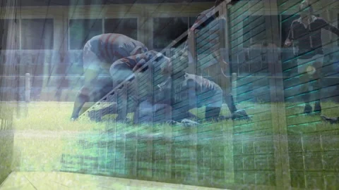 Flowing code initiating scrum with language overlays showing rugby team driving Stock Footage 316339428