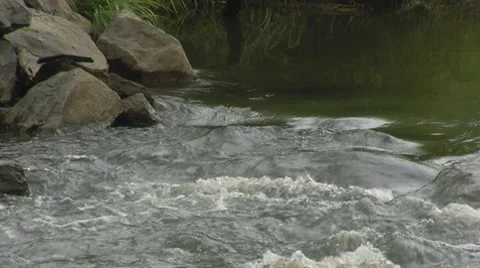 Flowing Creek 02 Video stock 8829547