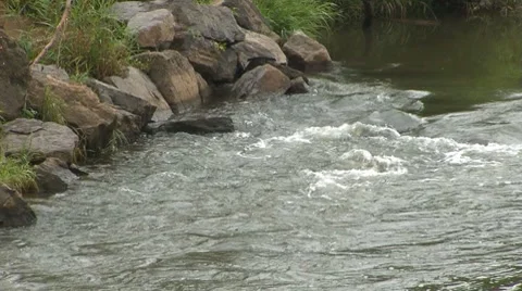 Flowing Creek 03 Video stock 8829553