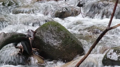Flowing Creek  in 4K 스톡 동영상 167030037